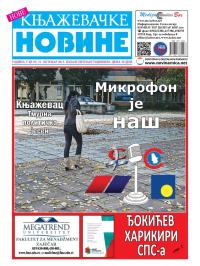 Nove knjaževačke novine - broj 85, 31. okt 2013.