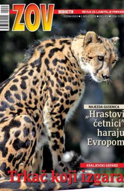 Zov - broj 914, 2. avg 2019.
