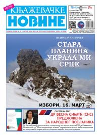 Nove knjaževačke novine - broj 90, 31. jan 2014.