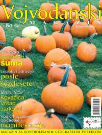 Vojvođanski magazin - broj 175, 1. nov 2022.