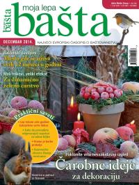 Moja lepa bašta - broj 12, 27. nov 2014.