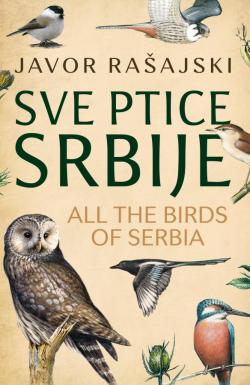 Sve ptice Srbije - Javor Rašajski