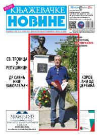 Nove knjaževačke novine - broj 79, 2. jul 2013.