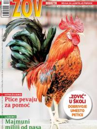 Zov - broj 869, 10. nov 2017.