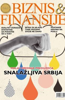 Biznis & Finansije - broj 228-229, 24. dec 2024.