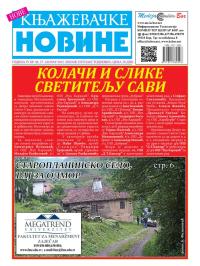 Nove knjaževačke novine - broj 46, 27. jan 2012.