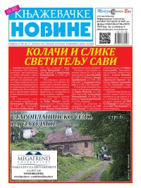 Nove knjaževačke novine - broj 46, 27. jan 2012.