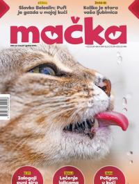 Mačka magazin - broj 23, 28. okt 2020.
