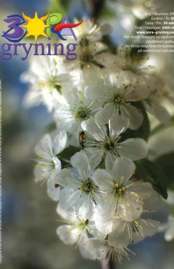 Zora gryning magazin - broj 11, 19. feb 2013.