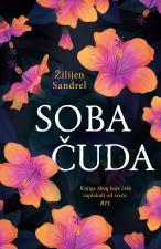 Soba čuda - Žilijen Sandrel